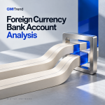 Foreign Currency Bank Account Analysis