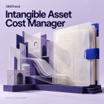 Intangible Asset Cost Manager