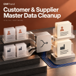 Customer & Supplier Master Data Cleanup