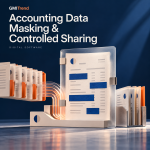 Accounting Data Masking & Controlled Sharing